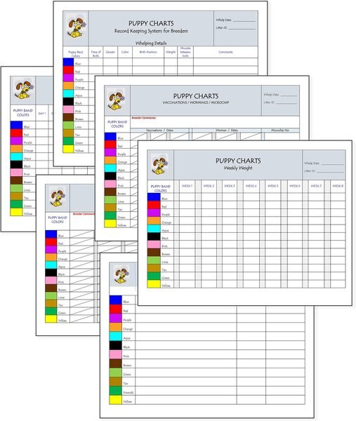 Puppies in Bloom Color Coordinated Breeder Record Keeping Charts slide 1 of 7