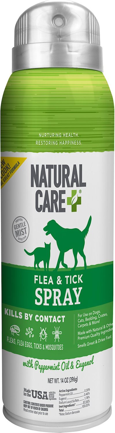 safe natural flea treatment for dogs