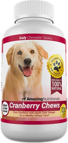 Amazing Nutritionals Cranberry Chews Daily Dog Supplement, 120 count slide 1 of 5