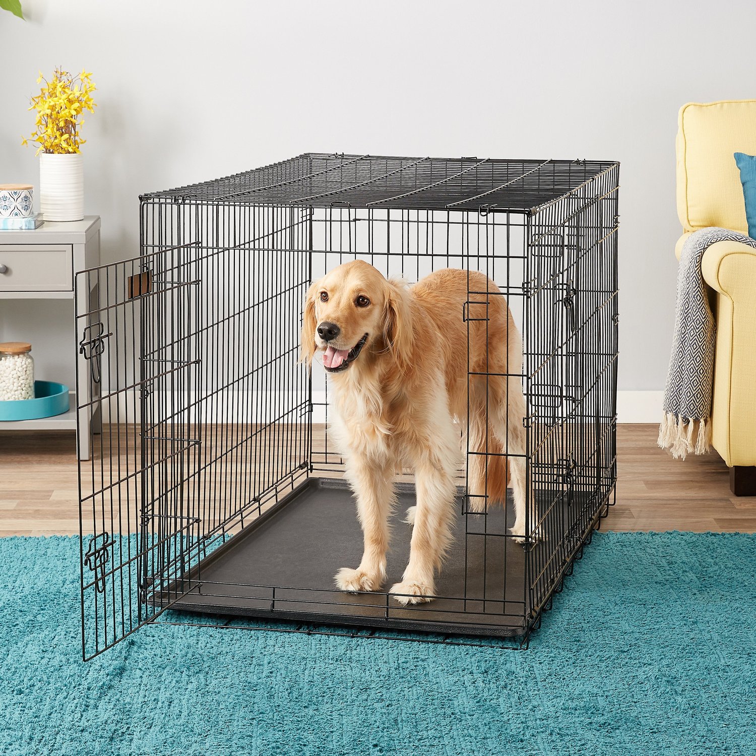 dog crate with divider for potty