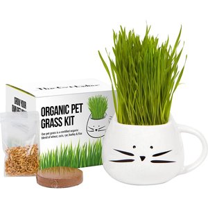 The Cat Ladies Organic Pet Grass Grow Kit with Planter, White