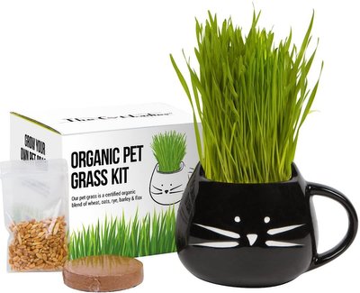 The Cat Ladies Organic Pet Grass Grow Kit with Planter, slide 1 of 1
