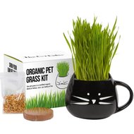 The Cat Ladies Organic Pet Grass Grow Kit with Planter