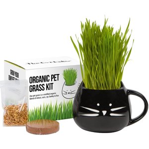 The Cat Ladies Organic Pet Grass Grow Kit with Planter, Black