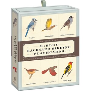 Sibley Backyard Birding Flashcards: 100 Common Birds of Eastern & Western North America