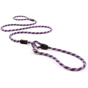 EzyDog Luca All-In-One Dog Slip Collar & Leash, Purple, Standard