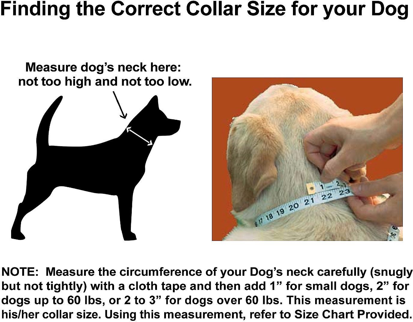 Small Dog Collar Size Chart