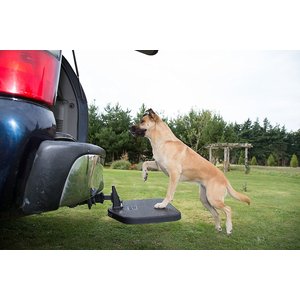 large brown dog stepping up into the back of a car