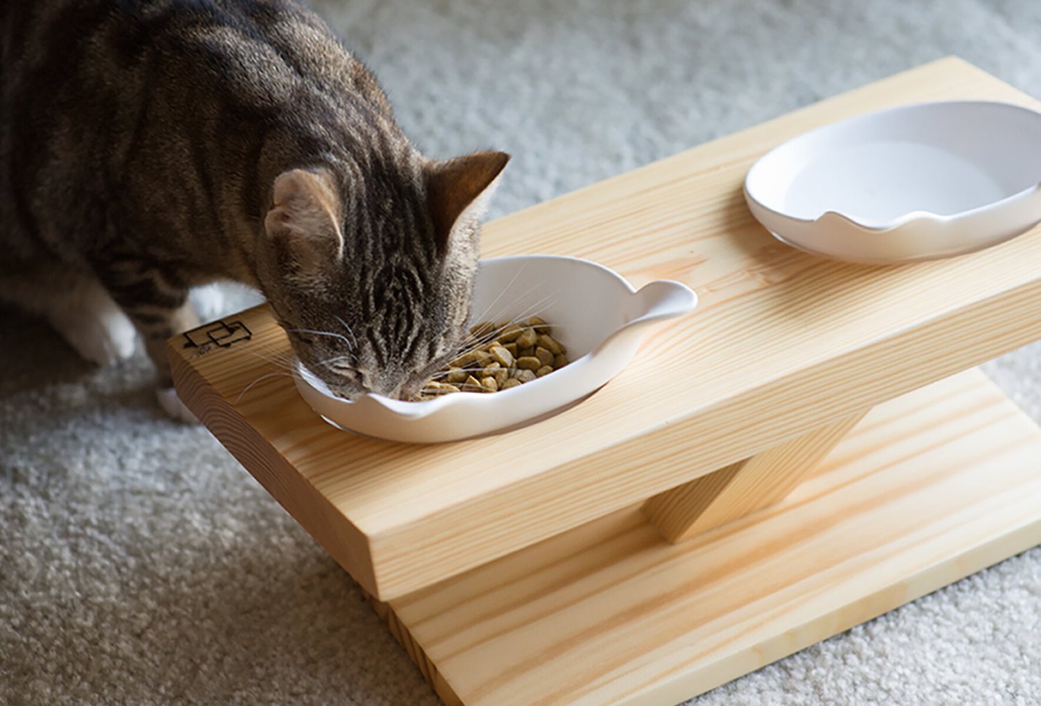 ViviPet Buddy Elevated Cat Feeder, Pine/White - Chewy.com