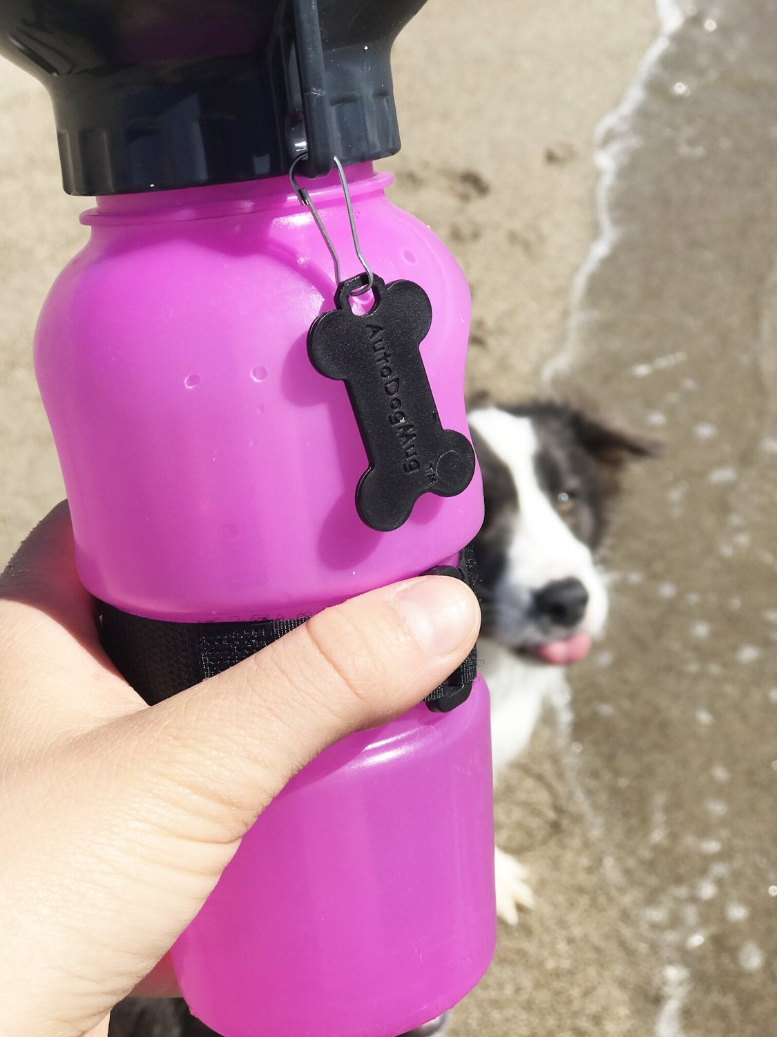 HIGHWAVE AutoDogMug Portable Dog Water Bottle & Bowl, Pink
