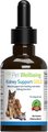 Pet Wellbeing Kidney Support GOLD Bacon Flavored Liquid Kidney Supplement for Cats and Small Dogs, 2-oz bottl...