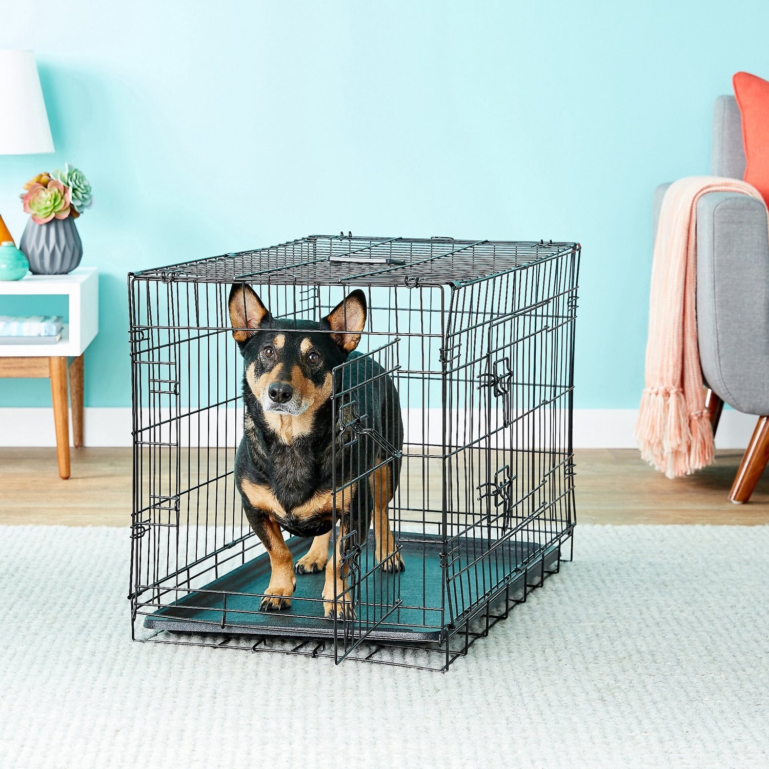 30 inch dog crate tray