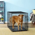 Paws & Pals Oxgord Double Door Collapsible Wire Dog Crate, 42 inch