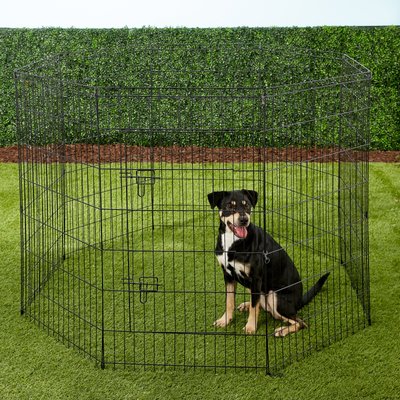 Paws & Pals Collapsible Wire Dog Exercise Pen, slide 1 of 1
