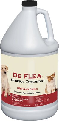 natural flea shampoo for dogs