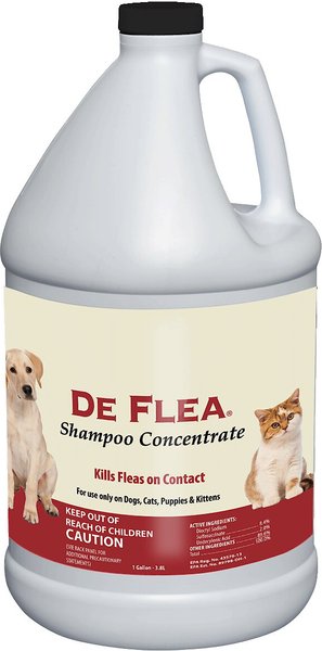 Miracle Care De Flea Shampoo Concentrate for Dogs & Cats, 1-gal slide 1 of 3