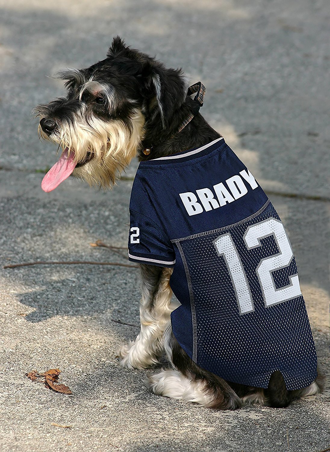 Tom Brady Mesh Dog \u0026 Cat Jersey 