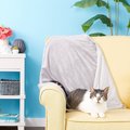 PetFusion Premium Reversible Dog & Cat Blanket, Gray, Medium