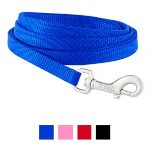 Frisco Solid Nylon Dog Leash, Blue, X-Small: 6-ft long, 3/8-in wide