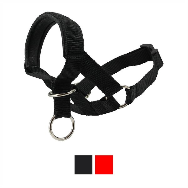 Dogs My Love Nylon Dog Headcollar, Black, Large: 18 to 23.5-in neck, 3/4-in wide slide 1 of 5