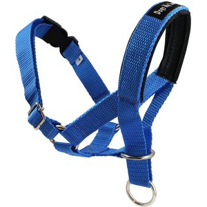 Dogs My Love Nylon Dog Headcollar, Blue, XX-Large: 22 to 29-in neck, 3/4-in wide