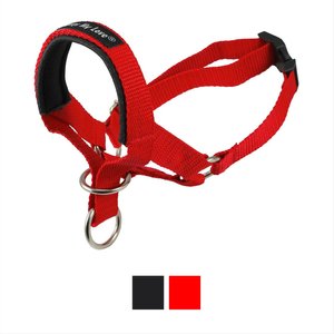 Dogs My Love Nylon Dog Headcollar, Red, Large: 18 to 23.5-in neck, 3/4-in wide