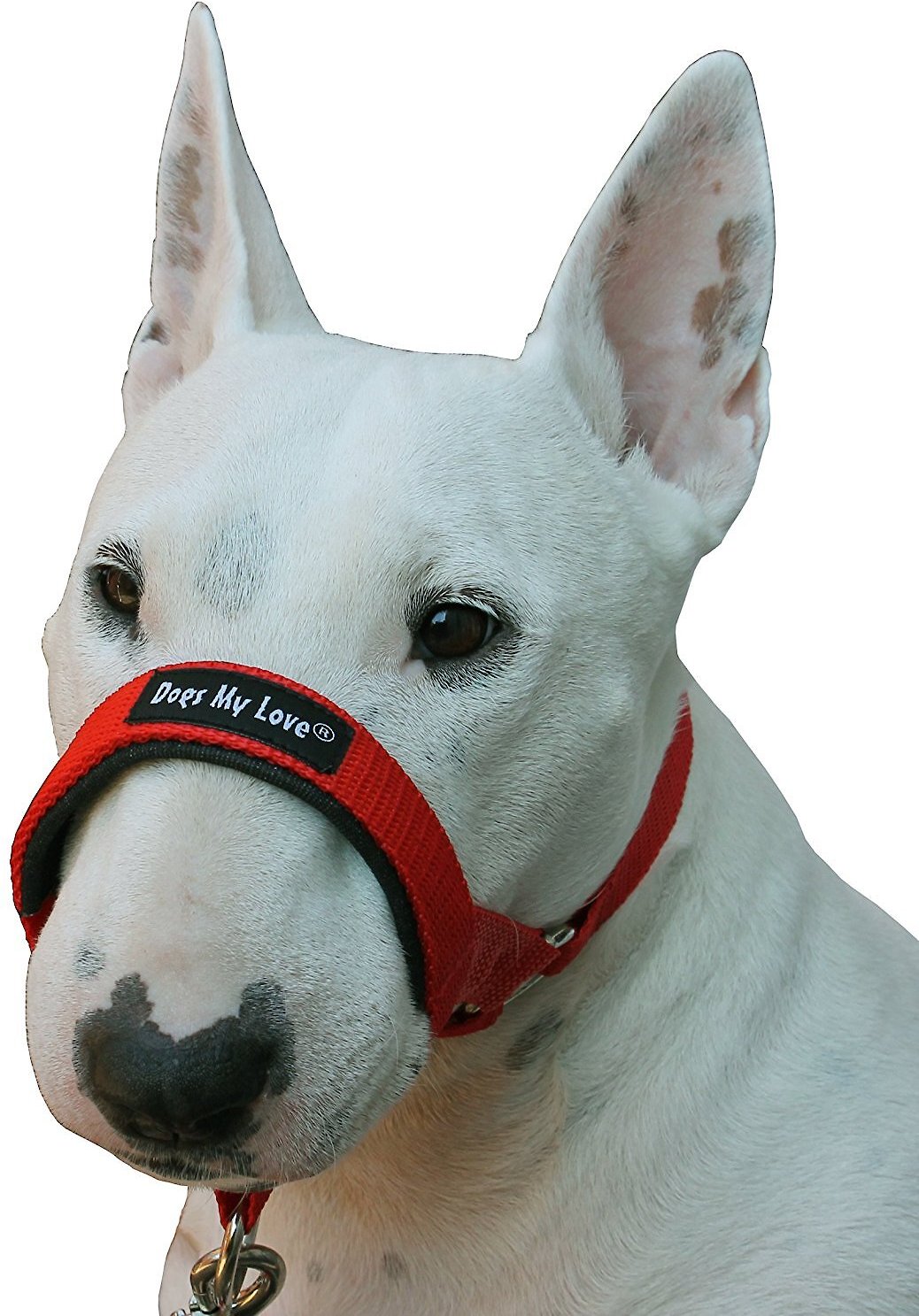 Dogs My Love Halter Dog Head Collar, Red, XX-Large - Chewy.com