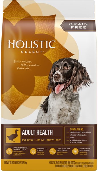 Holistic Select Adult Health Duck Meal Recipe Grain-Free Dry Dog Food, 4-lb bag slide 1 of 10
