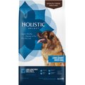 Holistic Select Large & Giant Breed Chicken Meal & Lentils Natural Grain Free Dry Dog Food, 24-lb bag