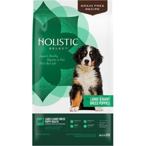 Holistic Select Large & Giant Breed Puppy Lamb & Chicken Meals Natural Grain-Free Dry Dog Food, 24-lb bag