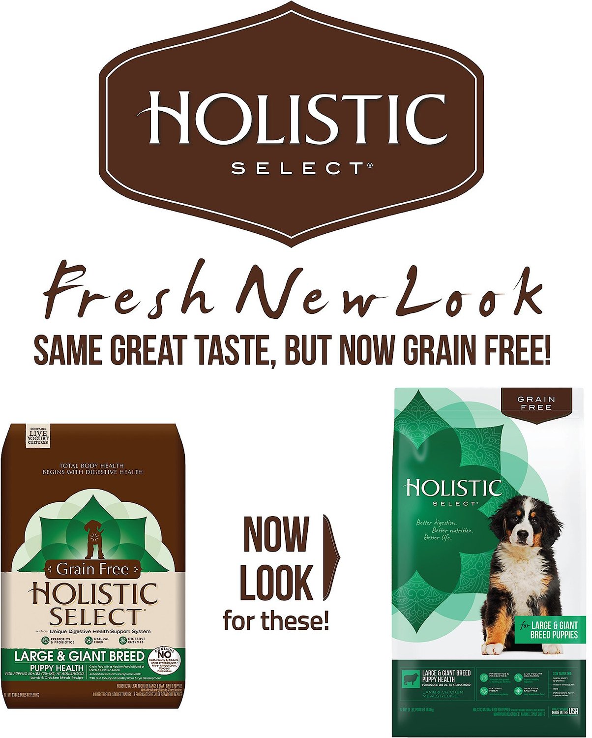 Holistic Select Large & Giant Breed Puppy Lamb & Chicken ...
