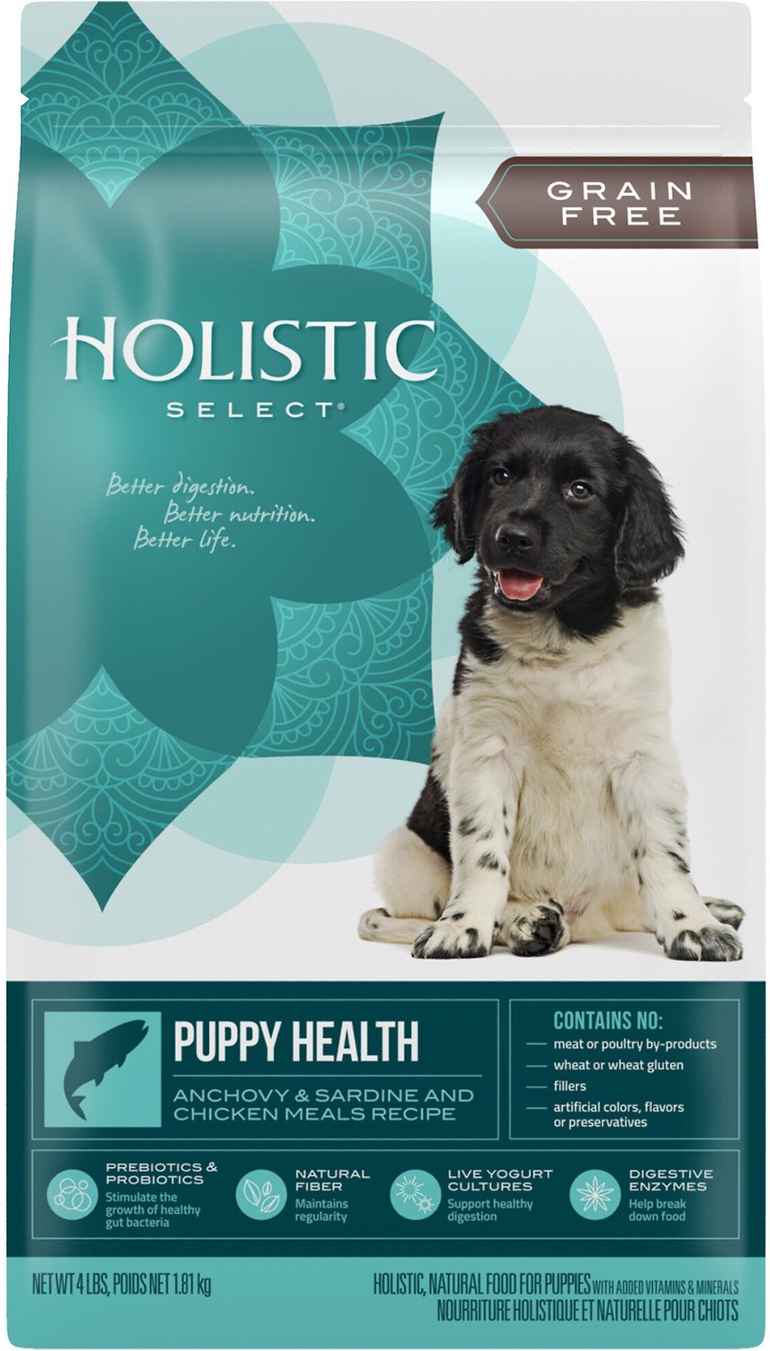holistic select dog food