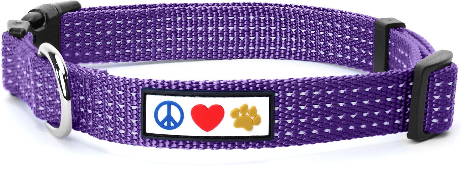 PAWTITAS Nylon Reflective Dog Collar, Purple, Small: 11 to 16-in neck