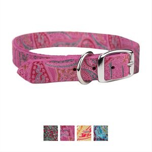 OmniPet Paisley Leather Dog Collar, Pink, 12-in