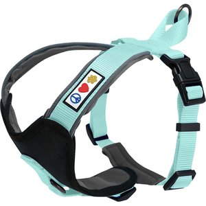 Pawtitas Nylon Reflective Back Clip Dog Harness, Teal, Large/X-Large: 27 to 33-in chest