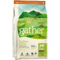 Gather Endless Valley Vegan Dry Dog Food, 16-lb bag