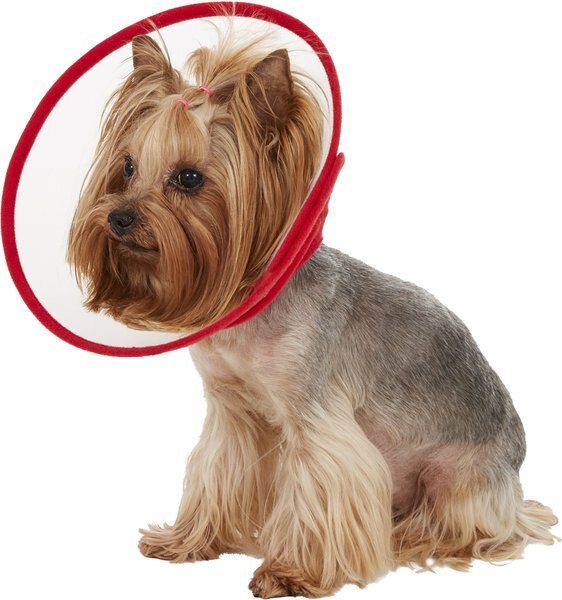 Alfie Pet Zumi Soft Edge Velcro Closure Dog & Cat Recovery Collar, Red, Small slide 1 of 6