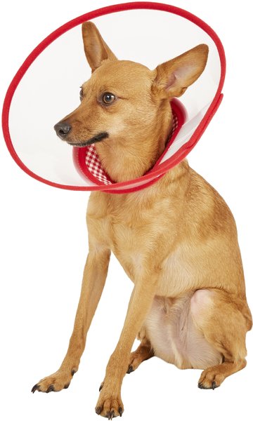 Alfie Pet Zumi Soft Edge Velcro Closure Dog & Cat Recovery Collar, Red, Medium slide 1 of 6