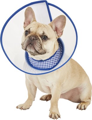 Size: S Soft Recovery Collar Alfie Pet for Dogs /& Cats - Color: Blue