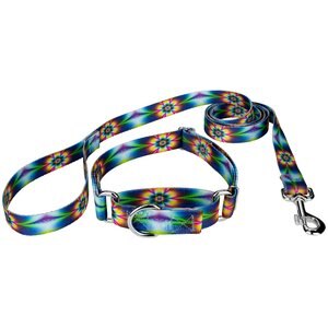 Country Brook Design Tie-Dye Flowers Polyester Martingale Dog Collar & Leash, Medium: 15 to 21-in neck, 1-in wide