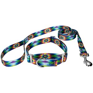 Country Brook Design Tie-Dye Flowers Polyester Martingale Dog Collar & Leash, Large: 18 to 26-in neck, 1-in wide