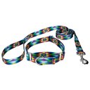 Country Brook Design Tie-Dye Flowers Polyester Martingale Dog Collar & Leash, Large: 18 to 26-in neck, 1-in wide
