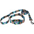Country Brook Design Tie-Dye Flowers Polyester Martingale Dog Collar & Leash, X-Large: 23 to 31-in neck, 1-in wide