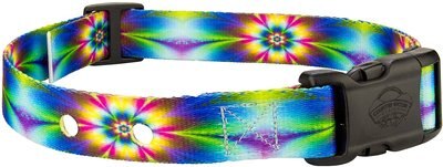 Country Brook Design Replacement Fence Receiver Dog Collar, Tie-Dye Flowers, slide 1 of 1