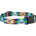 Country Brook Design Replacement Fence Receiver Dog Collar, Tie-Dye Flowers