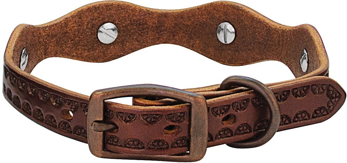 Weaver Pet Sundance Leather Dog Collar, 13 x 5/8-inch - Chewy.com