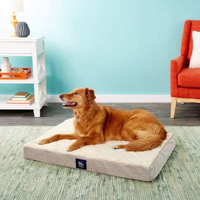Serta Quilted Orthopedic Pillowtop Dog Bed w/Removable Cover, slide 1 of 1
