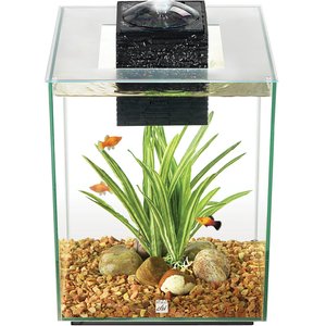 Fluval Chi Aquarium Kit, 5-gal