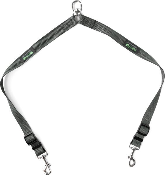 Mighty Paw Nylon Reflective Double Dog Leash, Grey & Green, 2-ft long, 1-in wide slide 1 of 8