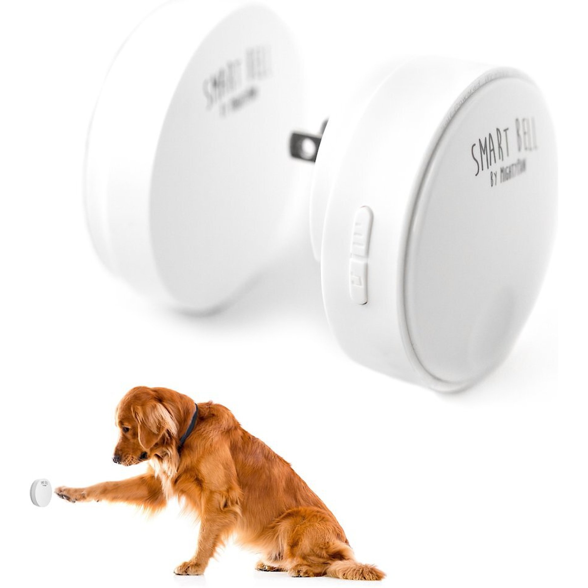 Mighty Paw Metal Potty Bell The Thick-Walled Durable Bell Optimizes Sound Quality Includes Training Guide an All Metal Dog Doorbell with Sleek Silver Bell and Support 
